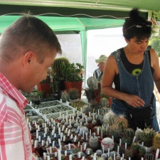 Городская выставка цветов, август 2008