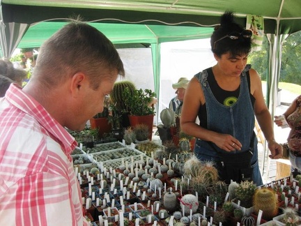 Городская выставка цветов, август 2008