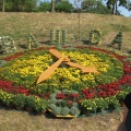 Городская выставка цветов, август 2008
