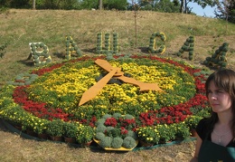 Городская выставка цветов, август 2008
