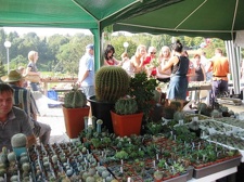 Городская выставка цветов, август 2008