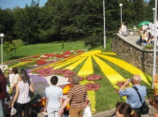 Городская выставка цветов, август 2008