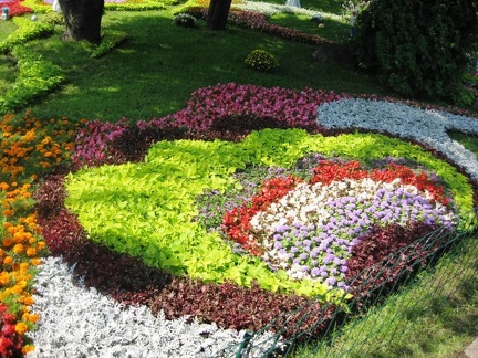 Городская выставка цветов, август 2008