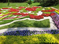 Городская выставка цветов, август 2008