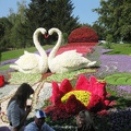 Городская выставка цветов, август 2008
