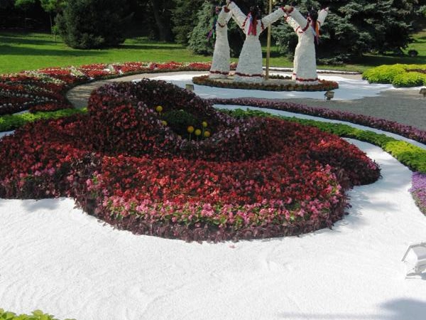 Городская выставка цветов, август 2008