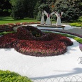 Городская выставка цветов, август 2008