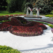 Городская выставка цветов, август 2008
