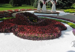 Городская выставка цветов, август 2008