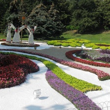 Городская выставка цветов, август 2008