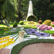 Городская выставка цветов, август 2008