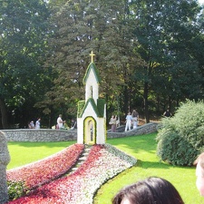 Городская выставка цветов, август 2008