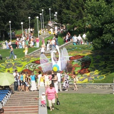 Городская выставка цветов, август 2008