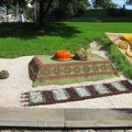 Городская выставка цветов, август 2008