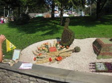 Городская выставка цветов, август 2008