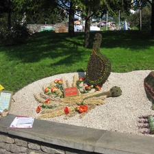 Городская выставка цветов, август 2008