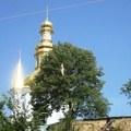 Городская выставка цветов, август 2008