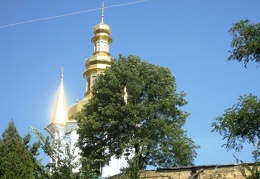 Городская выставка цветов, август 2008