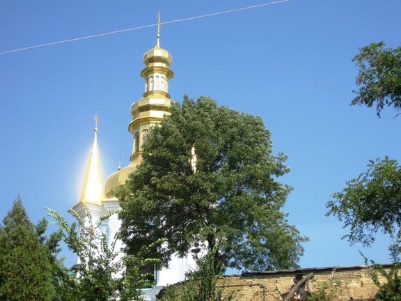 Городская выставка цветов, август 2008