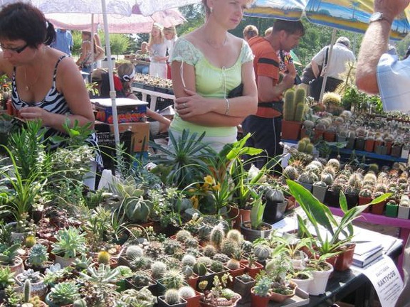 Городская выставка цветов, август 2008
