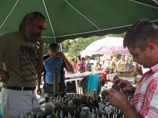 Городская выставка цветов, август 2008