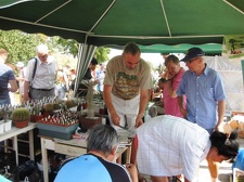 Городская выставка цветов, август 2008