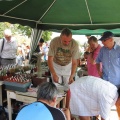 Городская выставка цветов, август 2008