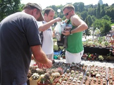 Городская выставка цветов, август 2008