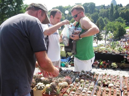 Городская выставка цветов, август 2008