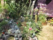 Городская выставка цветов, август 2008