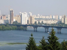 Городская выставка цветов, август 2008