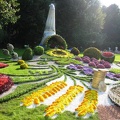 Городская выставка цветов, август 2008
