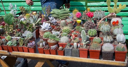 Выставка май 2006 (Киев)