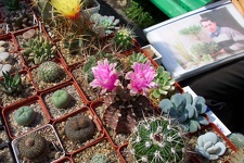 Выставка май 2006 (Киев)