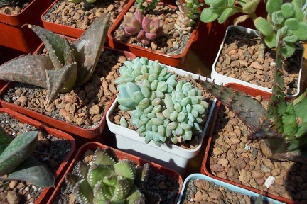 Выставка май 2006 (Киев)