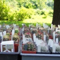 Выставка май 2006 (Киев)