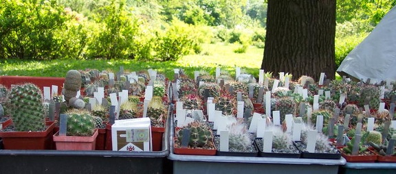 Выставка май 2006 (Киев)