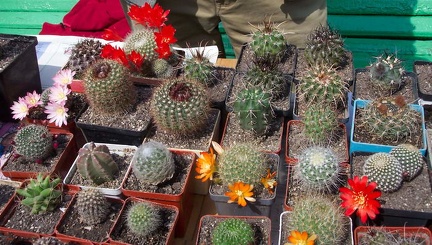 Выставка май 2006 (Киев)