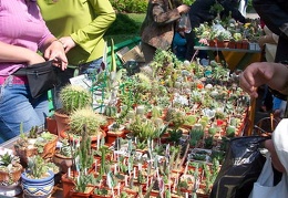 Выставка май 2006 (Киев)