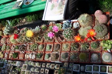 Выставка май 2006 (Киев)