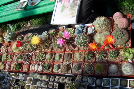 Выставка май 2006 (Киев)