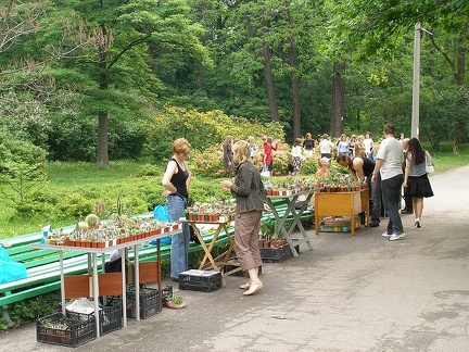 Выставка май 2006 (Киев)