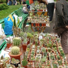 Выставка май 2006 (Киев)