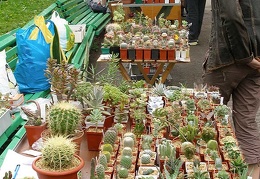 Выставка май 2006 (Киев)