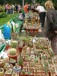 Выставка май 2006 (Киев)