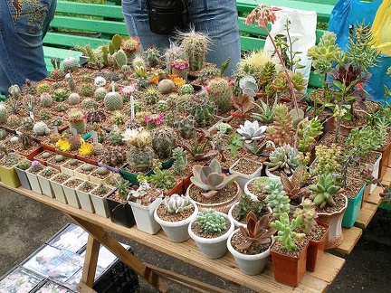 Выставка май 2006 (Киев)