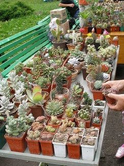 Выставка май 2006 (Киев)