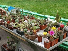 Выставка май 2006 (Киев)