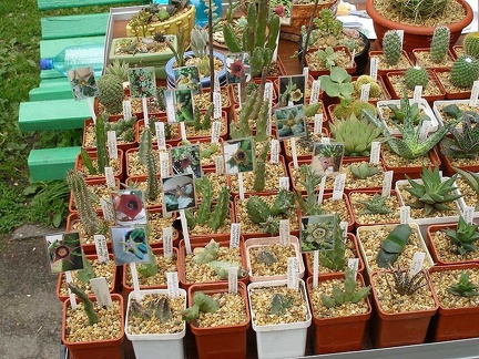 Выставка май 2006 (Киев)