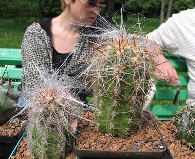 Выставка май 2006 (Киев)